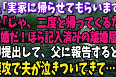 「夫からの突然の離婚宣言！実家に帰ると、予想外の展開が待っていた…夫が泣きついてきた理由とは？」