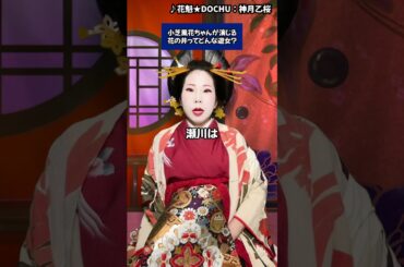 小芝風花ちゃんが演じる花の井ってどんな遊女？#江戸 #江戸時代 #花魁 #geisha