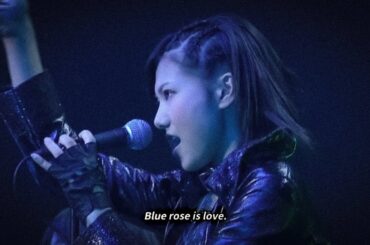 AKB48 - Blue rose | 블루로즈 🥀