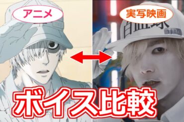 【はたらく細胞】アニメと実写映画でキャストの音声を比較　それぞれの演技の特徴は…？【ボイスロイド考察】
