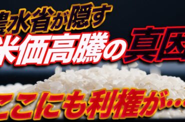 【令和の米騒動】備蓄米放出の裏に隠された真実！農水省が隠す米価高騰の真因を暴露〜すべては農政の失敗である！ここにも利権が…