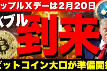 ビットコイン大口たちが急騰に向けて準備開始。リップルはXデーの2月20日に価格急騰！【仮想通貨 暗号通貨 ビットコイン FX リップル】