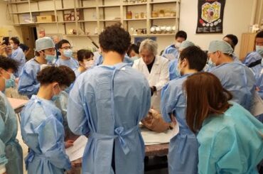 「妻を殺したのは誰？」UDIラボが暴く衝撃の真相！【アンナチュラル第3話】