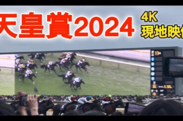 【2024天皇賞】ドウデュースが美しかった 「だからドウデュースって言うたやん」と叫ぶねき 現地映像 4K