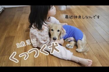 3歳娘にぴったりくっついて離れない平和な日々かと思いきや…
