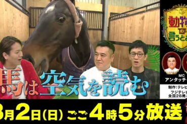 【馬はヒトの気持ちが読める！？】3/2（日）フジテレビ系全国ネット『動物さまの言うとおり』みどころA馬編　15秒　＃アンタッチャブル＃矢田亜希子＃狩野英孝＃高山一実＃山之内すず＃コカドケンタロウ