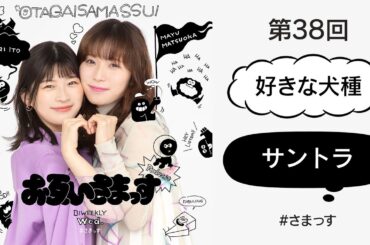 第38回「好きな犬種」「サントラ」