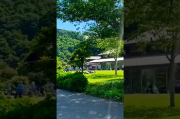 ④ 【全国コロナ感染者1.04倍増・お盆休み影響？4週ぶり増】コロナ明けの高尾山は大賑わい！【変異株KP.3、喉の痛み、味覚障害注意】【熱中症、ゲリラ豪雨、地震、台風注意】（東京都 八王子市）