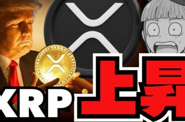 【🔥XRP上昇】トランプ効果！いったい何が？／仮想通貨に春？ビットコインはやや不安定か？／急上昇コインの秘密にせまる！