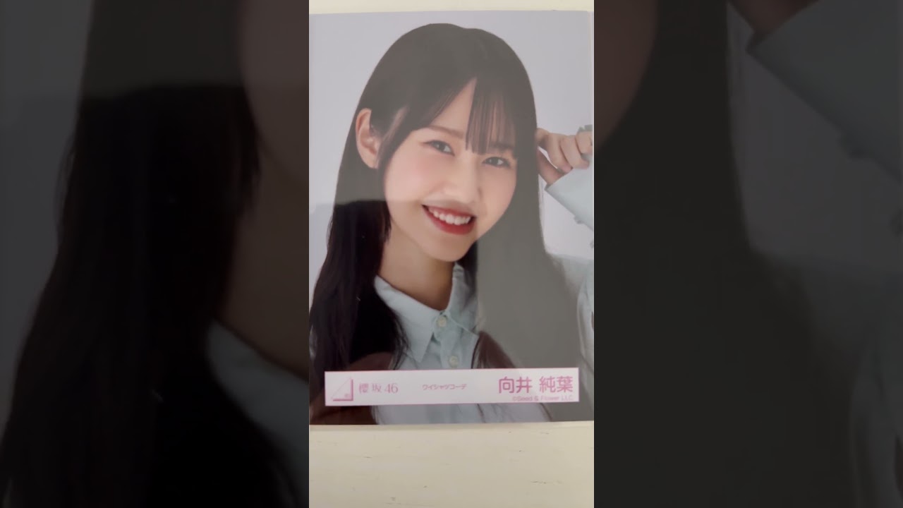 今日の御三家#乃木坂46#和田まあや#櫻坂46#向井純葉#日向坂46#竹内希来里生誕祭2025#広島県出身#生写真コレクション#推し活＝命#NYT4846