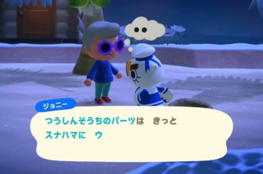 20250218 あつまれどうぶつの森　星に願いを