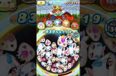 葵さんとコラボ対決！