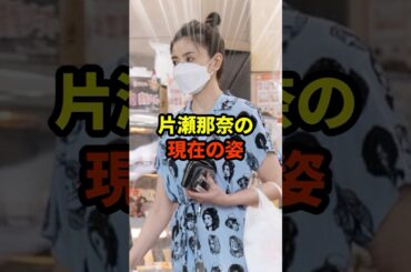 片瀬那奈の現在#芸能人