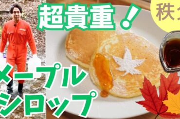 筋肉が大事！？「メープルシロップ」が秩父の森を守るってホント？【いまドキッ！埼玉】2025.2.15放送
