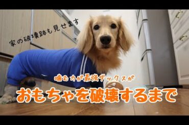 可愛いだけじゃ無い。なんでも破壊するのが悩みでした。