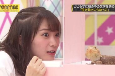 【乃木坂46】『乃木坂工事中』🌞🌞🌞「ビビらずに箱の中の文字を読め!! 「生き物とにらめっこ」」