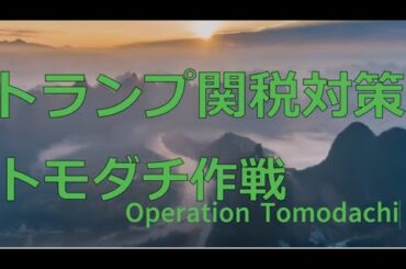 Lv101【衝撃】【米国株／トランプ関税対策】日本国民の救世主、トランプ大統領。日本政府の増税を相互関税によって阻止！2025/2/21時点