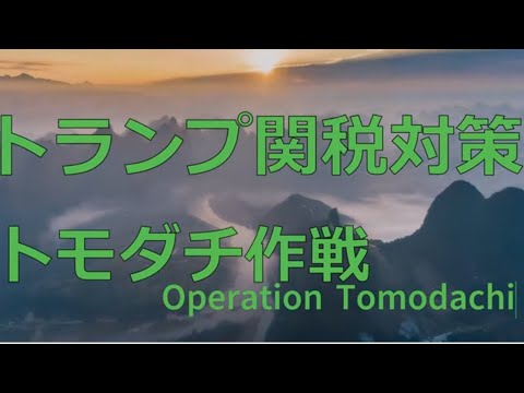 Lv101【衝撃】【米国株/トランプ関税対策】日本国民の救世主、トランプ大統領。日本政府の増税を相互関税によって阻止!2025/2/21時点 Lv101【衝撃】【米国株/トランプ関税対策】日本国民の救世主、トランプ大統領。日本政府の増税を相互関税によって阻止!2025/2/21時点