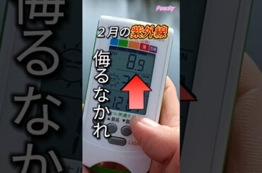 【UVインデックス】なっ！なんと2月の紫外線‼︎#shorts #紫外線 #美肌