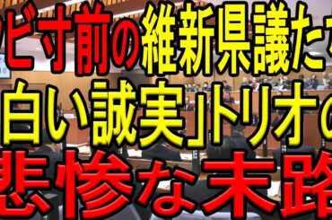 【悲報！】斎藤応援団の維新の白井県議が立花孝志氏の真偽不明情報にお墨付きを与えてしまう愚行を犯す！デマ＆誹謗中傷拡声器を政治利用しようとした維新の県議たちの悲惨な末路…！【斎藤知事】【兵庫県知事選挙】