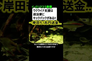 イーロン「ウクライナ支援はキックバックがある」→岸田が1兆円あげてたよな…?