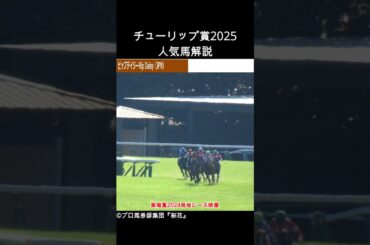 チューリップ賞2025出走予定のビップデイジーを解説！１番人気候補の馬に付け入る隙はあるのか？#チューリップ賞 #チューリップ賞2025 #競馬予想 #プロ馬券師集団桜花 #ビップデイジー #競馬