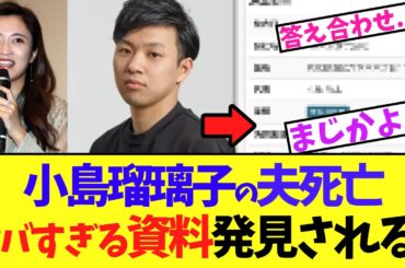 小島瑠璃子の夫　死◯ ヤバすぎる資料発見される..