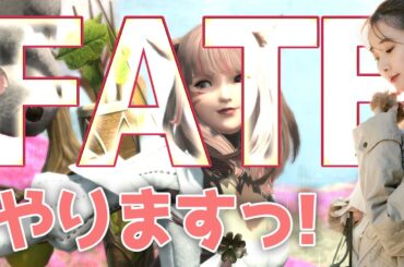 やる事やってFATE🐈🍣【FF14🌟FFXIV】