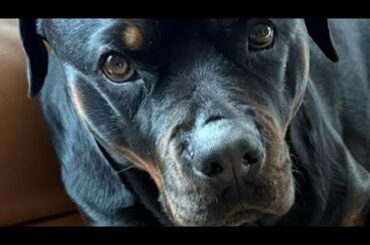 赤パン4日目Live