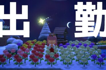 【あつまれどうぶつの森】星にねがいを、みやのにオシャレなアイデアを。