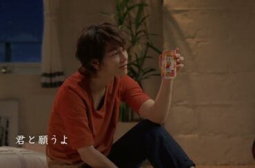 SUNTORY ほろよい トリンドル玲奈 堀北真希 15秒01