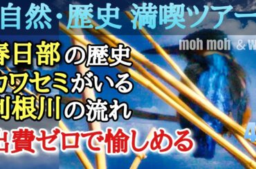 春日部 おもしろ自然・歴史ツアー【(話の面白さ)出費ゼロで楽しめる自然観察会】カワセミ 埼玉県生態系保護協会 春日部支部 古利根公園橋│古利根川│kasukabe│japan