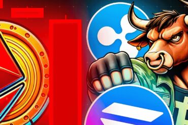 市場低迷期に仮想通貨は買うべきか！？XRP/Solana/Trumpに注目！