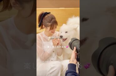 #生見愛瑠 #めるる #サモエド #ドックカフェ  #cancam 🎵#Candy / #宇野実彩子 #AAA