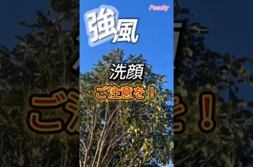 【強風‼︎『洗顔』の際にはご注意ください】#shorts #洗顔 #美肌