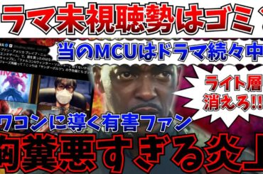 【炎上】だから滅びた…ドラマ未視聴勢が炎上！！ライト層を締め出す暴走するファンダム、一方MCUはドラマ企画を続々中止へ【MCU/マーベル/キャプテン・アメリカ：ブレイブ・ニュー・ワールド】