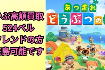 あつまれどうぶつの森かぶ高額買取524ベル