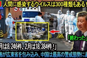 中国で「コウモリ風邪パンデミック」発生！人間に感染するウイルスは300種類もある！「1月は8,246件、2月は18,384件！」恐怖が広東省を包み込み、中国は最高の警戒態勢にある。。。