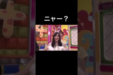 動物がごちゃごちゃな星野みなみ　#星野みなみ　#橋本奈々未　#乃木坂46