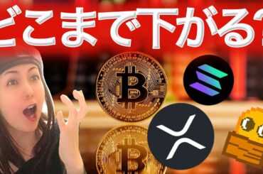 ビットコイン大口は買っている 今後3〜6ヶ月は人生を変える準備期間