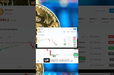 Bitcoin in Free-Fall! What's Driving the Wild Moves?