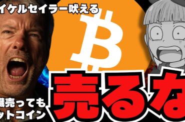 🔥『ビットコイン売るな』マクロストラテジーCEOが吠える／ソラナが回復！理由は？XRPはどうなった？／ミームコインにご注意を