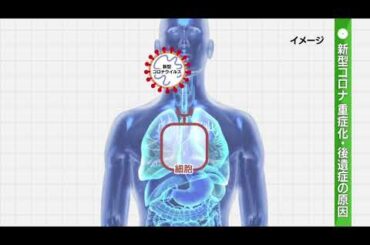 20250301 「新型コロナウイルス感染症の治療薬　～重症化・後遺症を予防するために～」