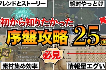 【モンハンワイルズ】序盤攻略まとめ！最初に知るべき基礎知識やコツを25個紹介【初心者必見】