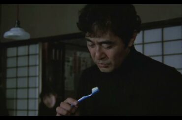 美しすぎる夏目雅子と猫