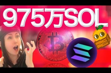 下落の原因 バブルは終わったのか？来月975万SOL