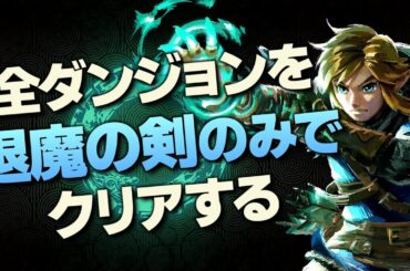 オールダンジョン装備縛り攻略解説『マスターソード編』【ゼルダの伝説 ティアーズ オブ ザ キングダム】