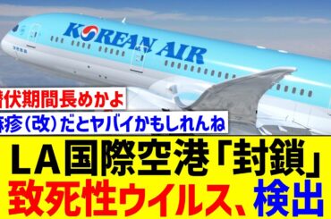 大韓航空で麻疹持ち込みロサンゼルス国際空港「閉鎖」【国内の反応】