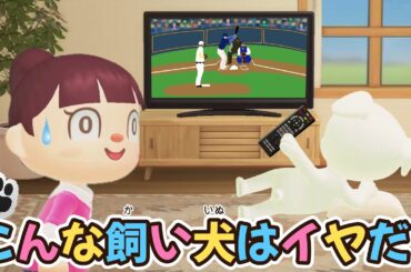 【あつ森アニメ】見た目は犬、中身はおっさん!?こんな飼い犬はイヤだ！【あつまれどうぶつの森】