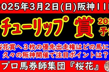 チューリップ賞2025レース予想！Ｇ１で２着に好走したビップデイジーが出走し力で抜け出すことが可能か？土曜のレースは馬場も良く力が抜けてないと差せない馬場状態！